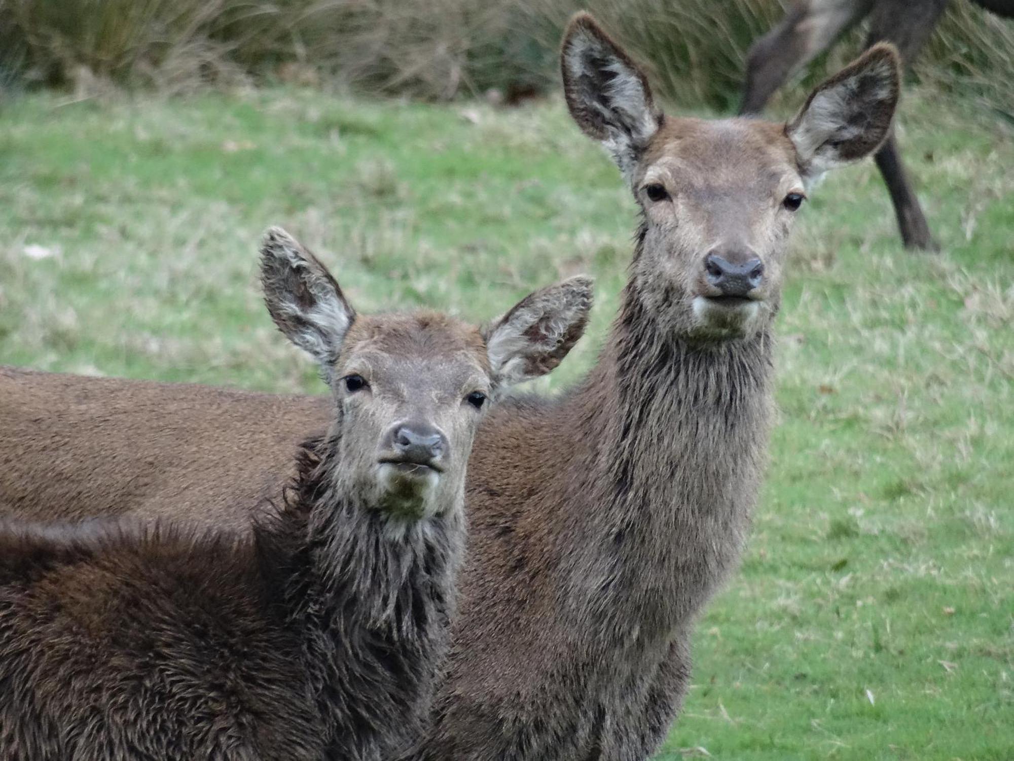 Exmoor Bnb In Withypool On Two Moors Way Buitenkant foto