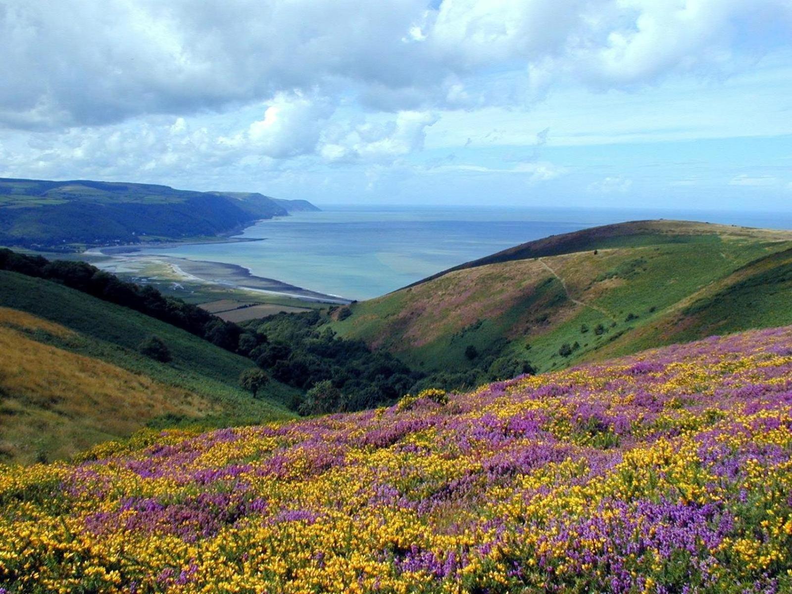 Exmoor Bnb In Withypool On Two Moors Way Buitenkant foto