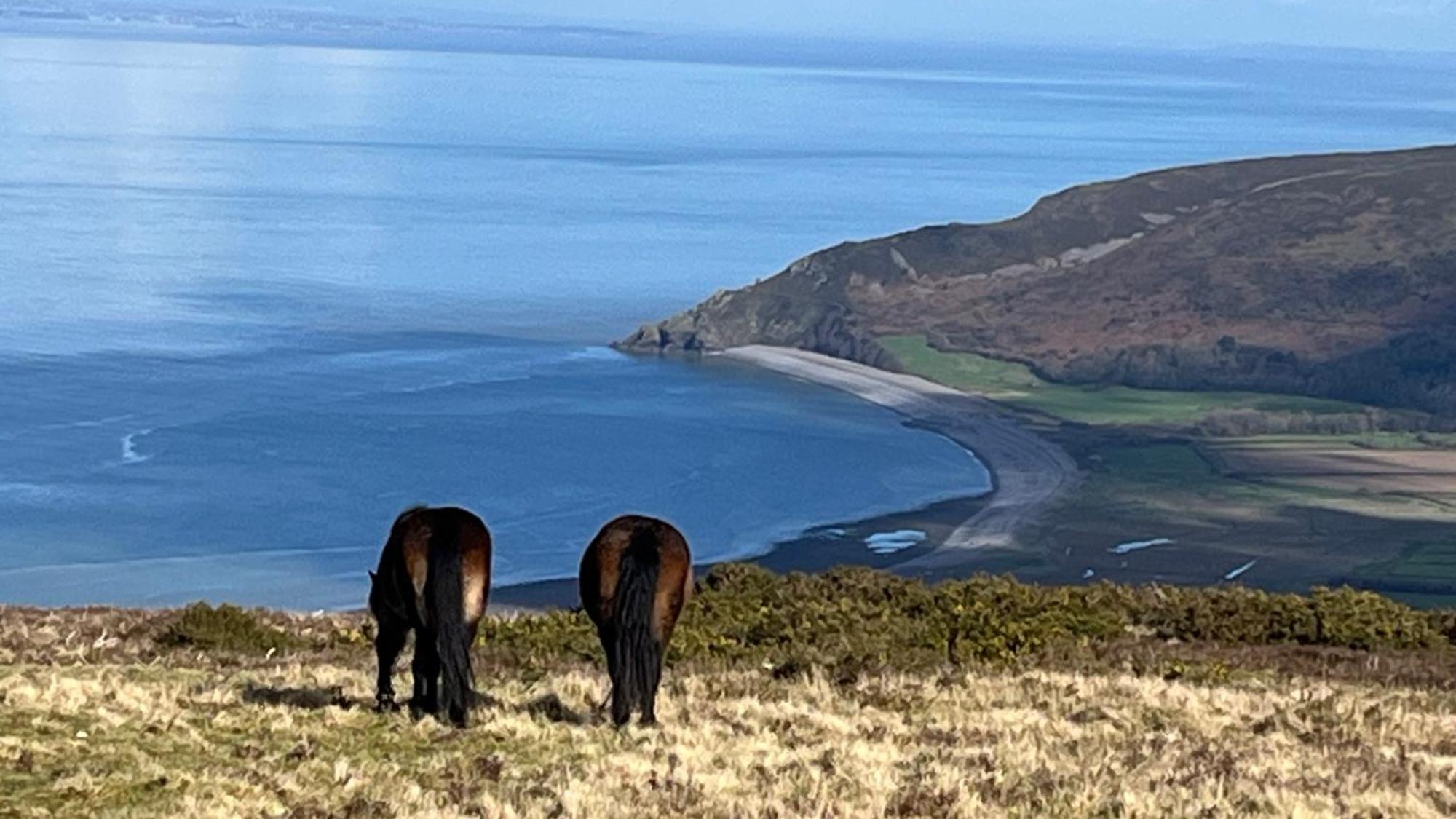 Exmoor Bnb In Withypool On Two Moors Way Buitenkant foto