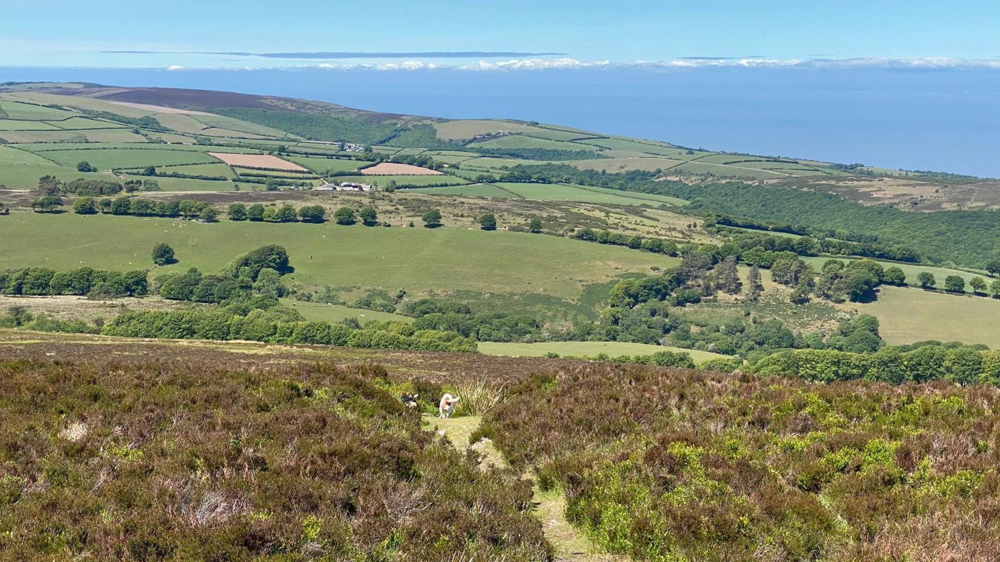 Exmoor Bnb In Withypool On Two Moors Way Buitenkant foto